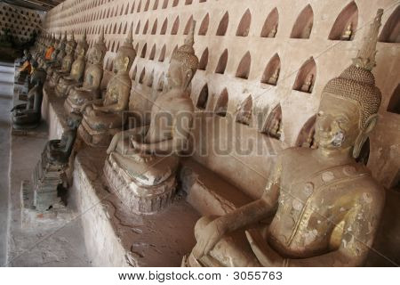 Rækker af Buddhaer 2