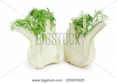 Fennel Bulb. Single Fresh Fennel Bulb With Leaves On White Background