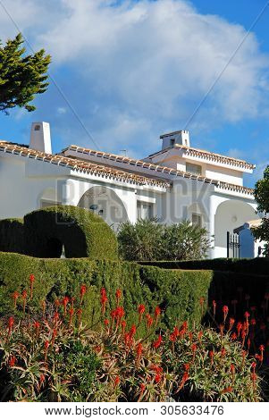 Townhouses With Aloe Arborescens Variegata Plants In The Foreground, Miraflores, Costa Del Sol, Mala