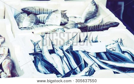 Fresh Fish For Sale In The Fish Market Pescheria Of Catania, Sicily, Italy