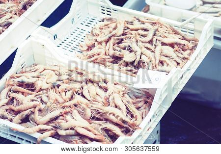 Fresh Seafood Red Shrimps For Sale In The Fish Market Pescheria Of Catania, Sicily, Italy