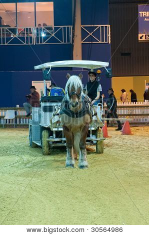 Parigi - 26 febbraio: Workhorse concorso presso la fiera agricola internazionale Paris 2012 su Febb