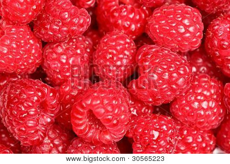 Framboises - framboises texture fond de baies mûres rouges fraîches. Gros plan image avec grand texte