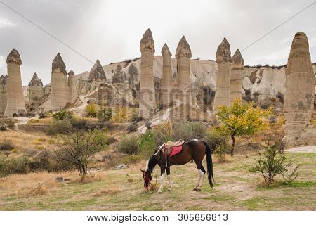 Horses with famous rock formations at background in Love valley, Cappadocia. Hourse riding in Cappadocia, Turkey.