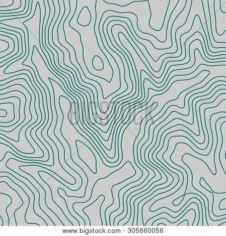 Topographic Map Lines Background. Abstract Vector Illustration. Contour Vector Map.