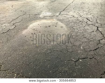 close up pond on asphalt road during rainy day