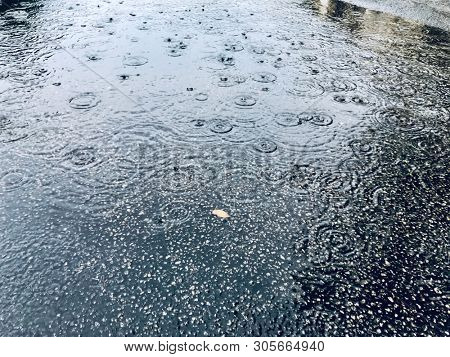 close up pond on asphalt road during rainy day