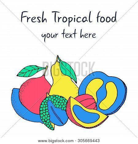 Tropical Cartoon Fruits Banner. Flat Color Fun Fruits Poster.