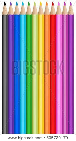 Colorful Pencils Realistic Illustration Vector On White Background