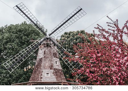 Dutch Windmill Blades Surrounded By Branches Of A Pink Blooming Crabapple Tree With An Overcast Sky 