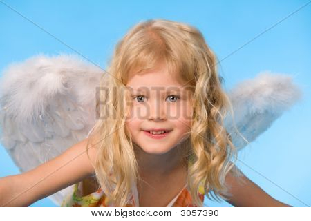 Fly