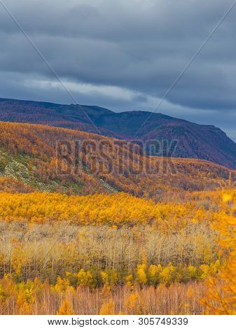 View Of The Mountain, Forest In Autumn Colors. Bystrinsky District, Peninsula Kamchatka, Russia.