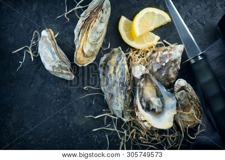 Fresh Oysters close-up with knife, served table with oysters and lemon. Healthy sea food. Oyster dinner in restaurant. Dark background. Seafood, Gourmet food. Flatlay, top view