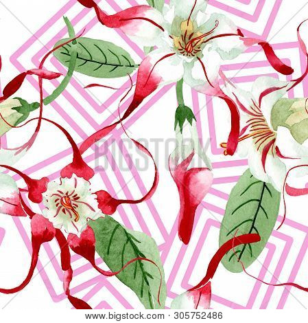 Red White Strophantus Floral Flowers. Watercolor Background Illustration Set. Seamless Background Pa