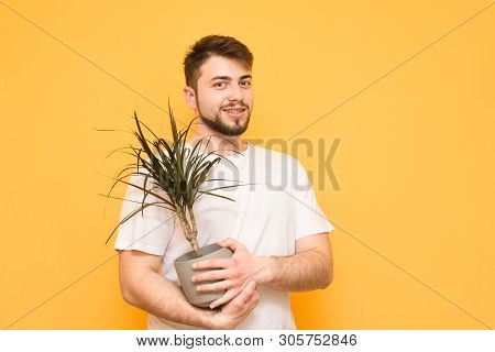 Smiling Man With A Beard Stands On A Yellow Background, Holding A Flowerpot With A Plant In His Hand