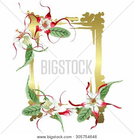 Red White Strophantus Botanical Flowers. Wild Spring Leaf Wildflower. Watercolour Drawing Fashion Aq