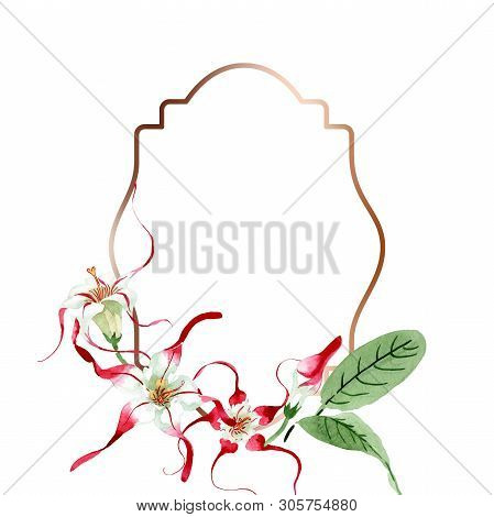 Red White Strophantus Botanical Flowers. Wild Spring Leaf Wildflower. Watercolour Drawing Fashion Aq