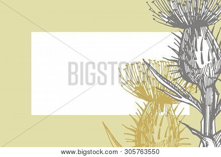 Hand Drawn Flowers And Plants Teamplate Horizontal Cards. Handwritten Abstract Text Wallpaper. Imita