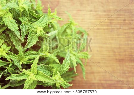 A Bunch Of Fresh Green Mint On A Wooden Rustic Table. Copy Space.