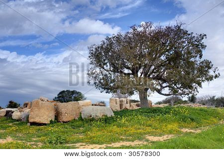 Rovine archeologiche a Beit Guvrin nazionale Parkb, in Israele.