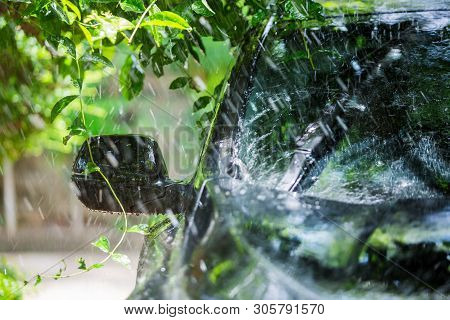 Black Car Under The Tree With Rain Drop Water.