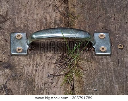Silver Pull To Crawlspace Hatch With Weeds