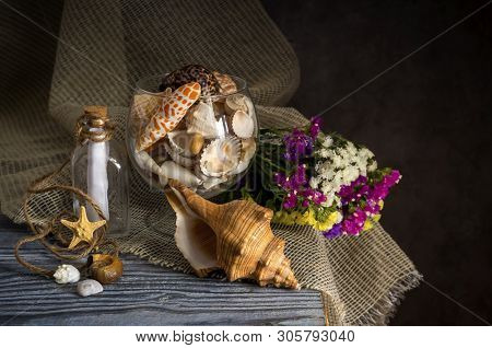 Still Life. A Variety Of Seashells, Wild Flowers (limonium Sinuatum) And Starfish On A Wooden Table 