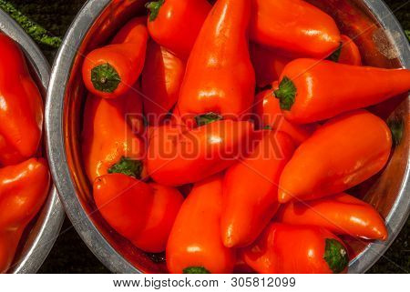 Orange Marconi Pepper At Market Place. Orange Marconi Pepper Background.