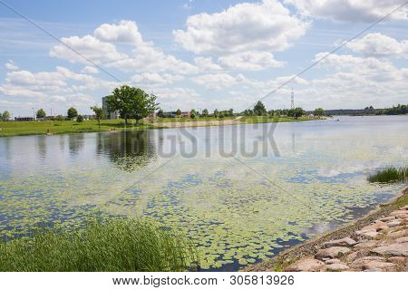 City Jelgava, Latvian Republic. River Lielupe, People Sunbathing On The River Bank. Jun 9. 2019. Tra