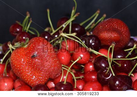Very Many Fruits Cherry And Strawberry And Griotte
