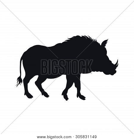 Black Silhouette Of African Boar On White Background. Isolated Desert Warthog Icon. Wild Animals Of 