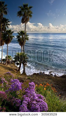 Laguna Beach