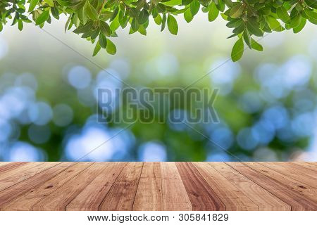 Old Wood Plank With Abstract Natural Green Blurred Bokeh Background For Product Displa
