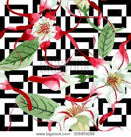 Red White Strophantus Floral Flowers. Watercolor Background Illustration Set. Seamless Background Pa