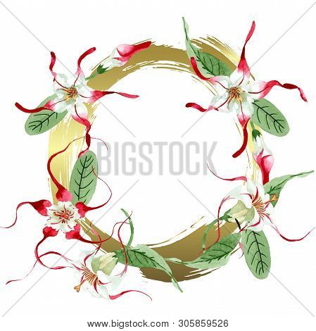 Red White Strophantus Botanical Flowers. Wild Spring Leaf Wildflower. Watercolour Drawing Fashion Aq