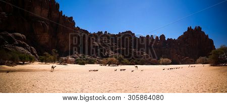 Panorama Inside Canyon Aka Guelta D'archei In East Ennedi, Chad