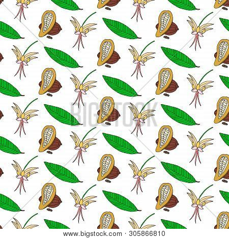 Vintage Cacao Pattern. Hand Drawn Vector Botanic Background.