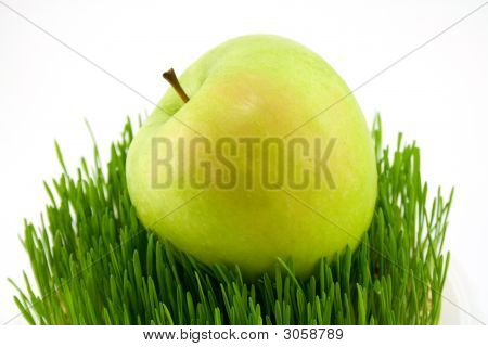 Apple na trávě
