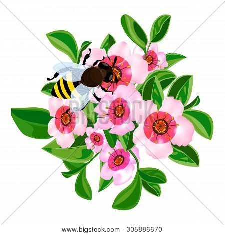 Bee In Flowers Icon. Cartoon Of Bee In Flowers Vector Icon For Web Design Isolated On White Backgrou