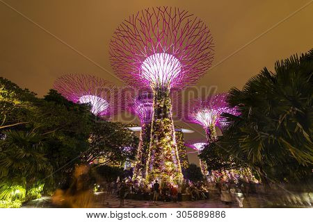 Singapore - April 25 2019 : Singapore Night Skyline At Gardens By The Bay. Supertree Grove Under Blu