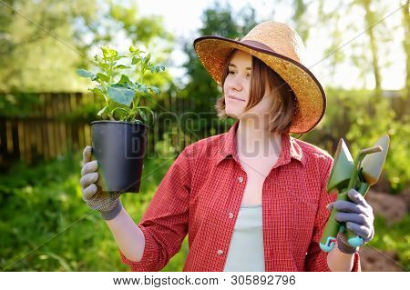 Young Woman Holding Gardening Tools And Seedling In Plastic Pots On The Domestic Garden At Summer Su