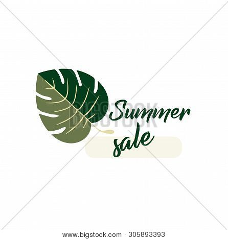 Vector Logo Design With A Tropical Monstera Leaf And A Beautiful Inscription - Summer Sale. Trendy L