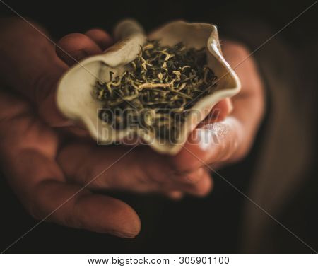 Tea master holding bowl with a tea