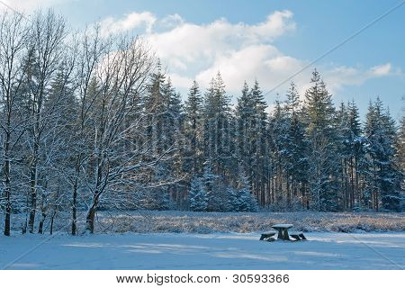 Holzbank in einem Wald im Schnee