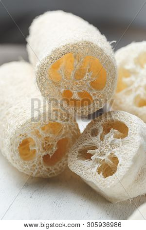 Luffa Sponge For Zero Waste Washing Or Bath