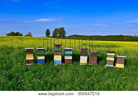 Beehives Standing In A Field With Yellow Flowers