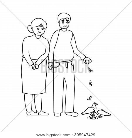 Isolated Object Of Grandparents And Old Symbol. Set Of Grandparents And Man Vector Icon For Stock.