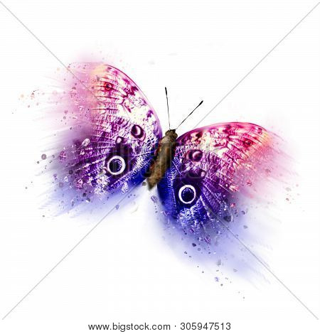 Beautiful Colorful Buttefly Look Like Painting On White Background