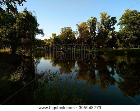 Landscape Trees Near The Water In The Park
