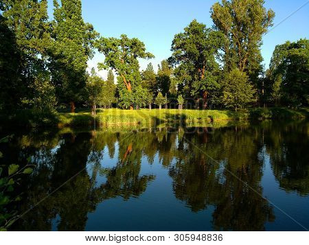 Landscape Trees Near The Water In The Park
